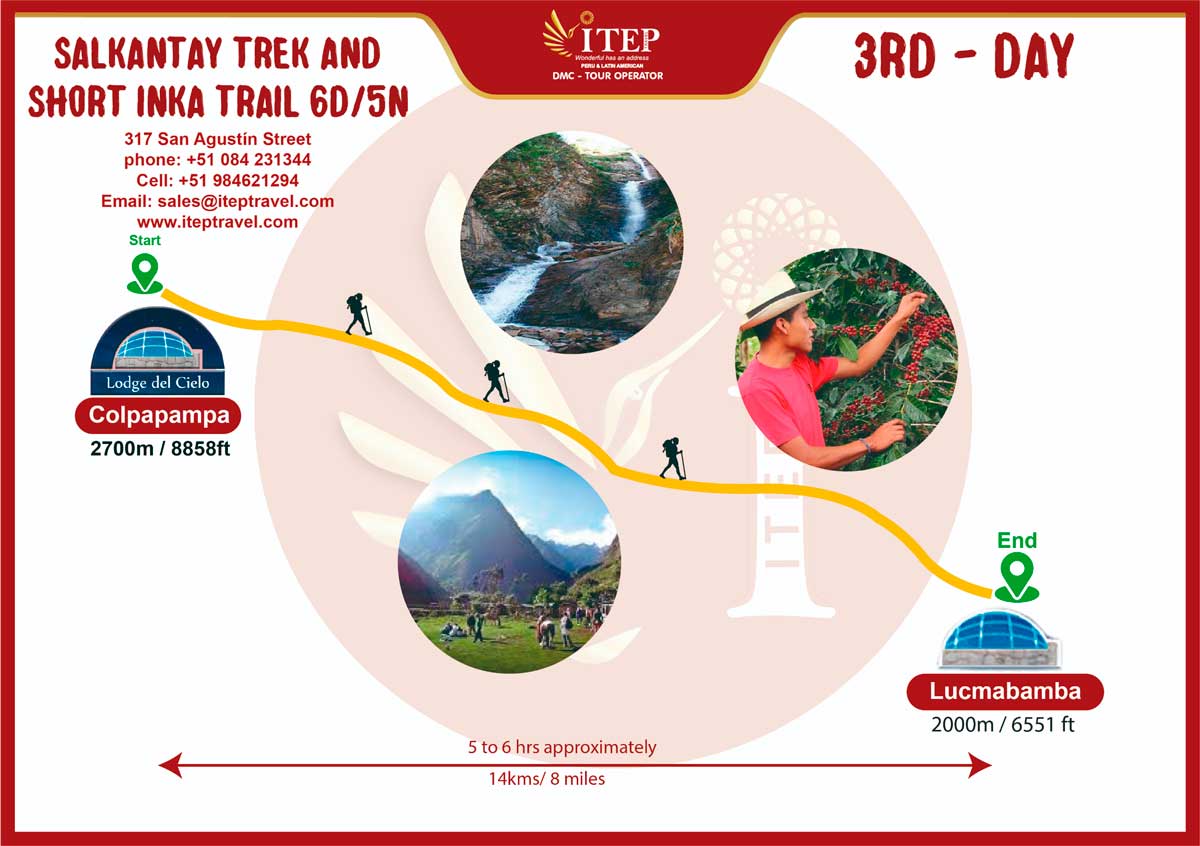 Map - Día 3: Descendiendo al Bosque Nuboso